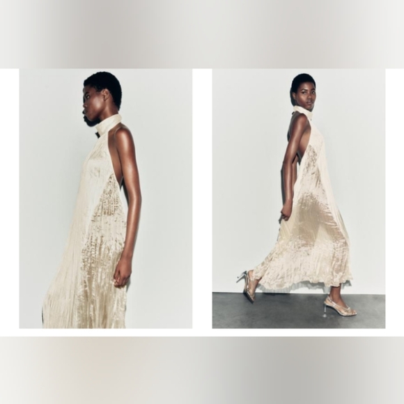 Zara Long Pleated Dress - Picture 3 of 4